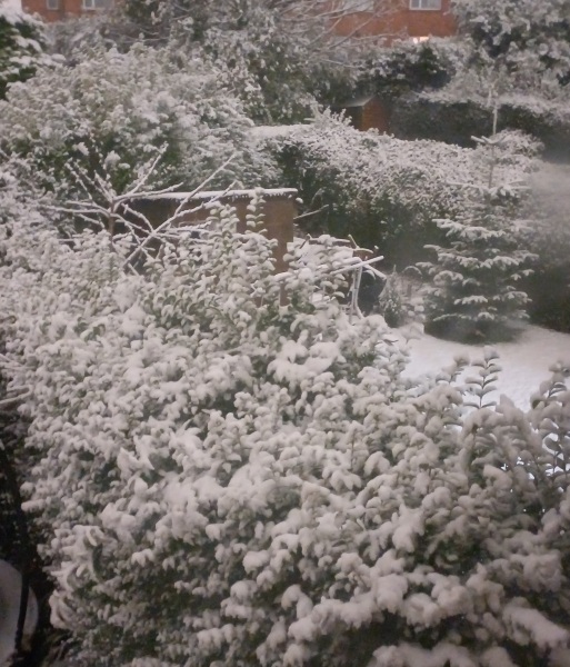 It’s snowing ❄️