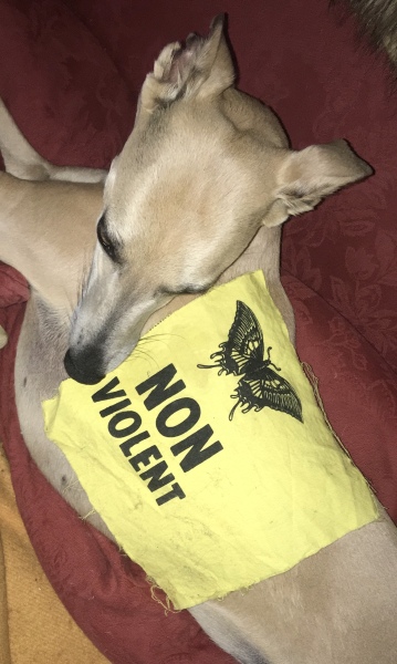 I would rather die then leave, but I can't cope staying