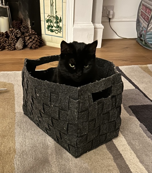 Thread 12 Starmer: From Prescott to Rayner, working class grit