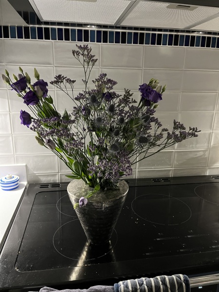 Thread 11 Starmer: Will that Phone Call Be To Harris or to Trump? (the decidedly superior looking cats thread)