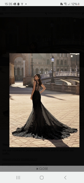 AIBU - Mother in Law's dress at my wedding.