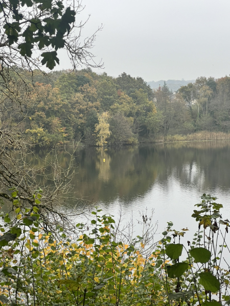 Mounjaro August starters #7