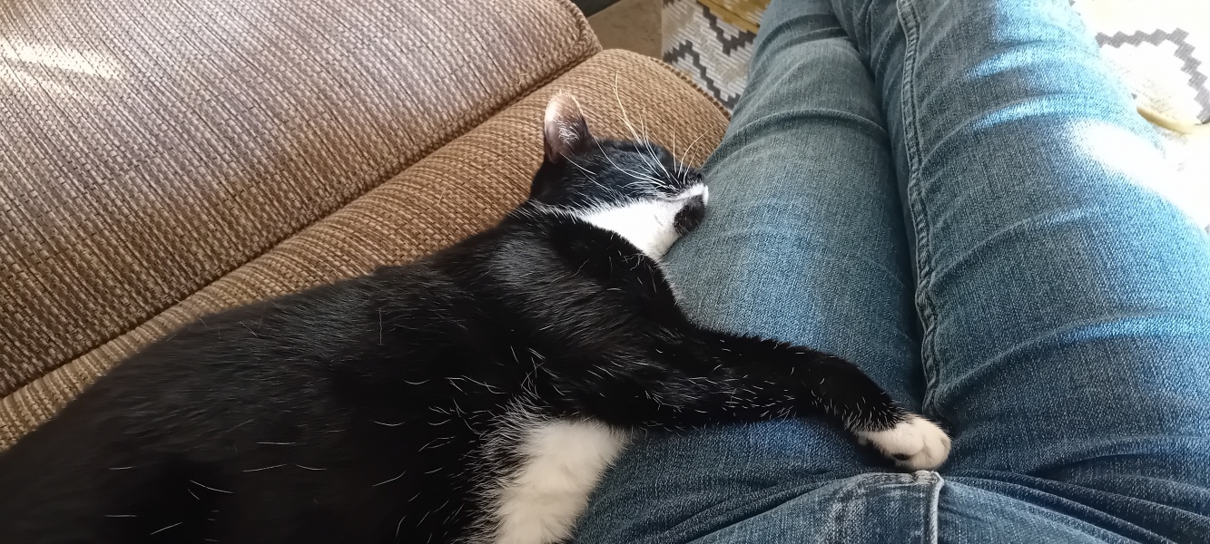 How do you store your seeds?