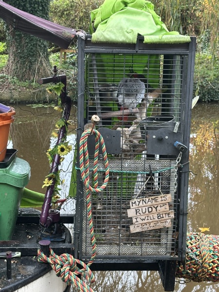 The Nigel Slater Christmas Chronicles Readalong 2024