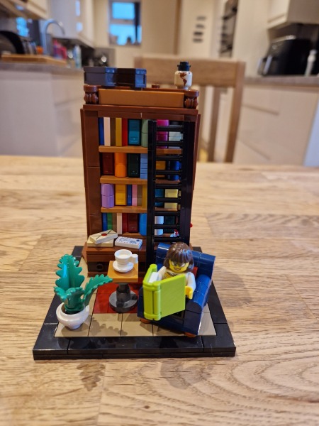 To show me your Lego collection?