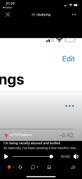 Bullied racist abuse