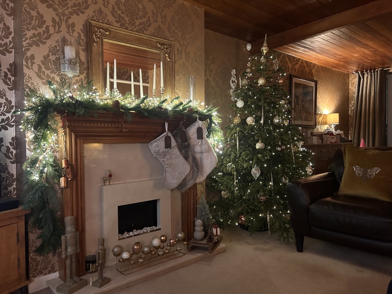 Show us your Christmas trees