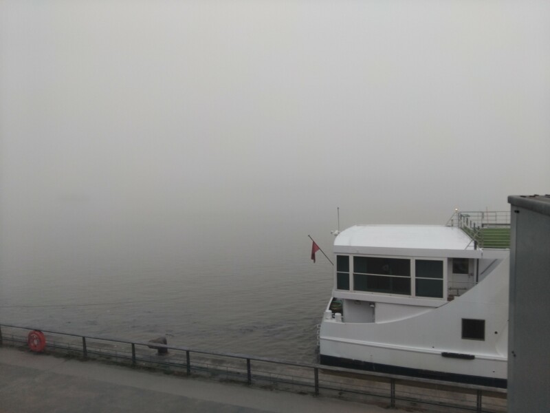 Bluestocking: the one where Boiled gets to the bar first!