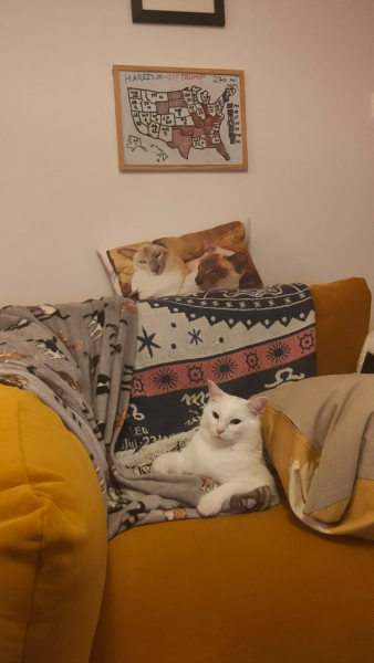 Thread 12 Starmer: From Prescott to Rayner, working class grit