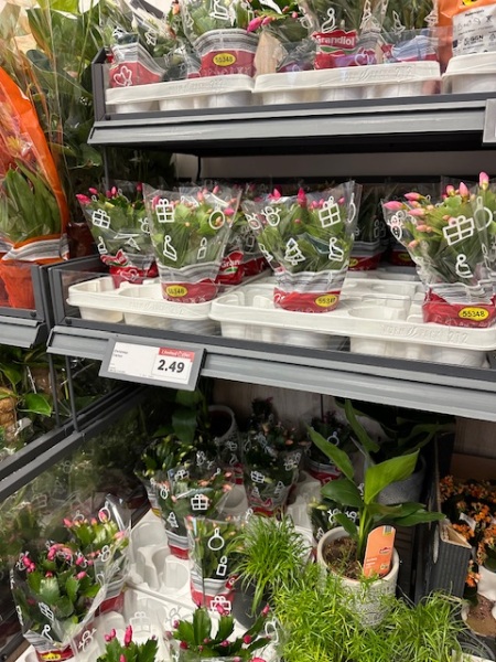 The Nigel Slater Christmas Chronicles Readalong 2024