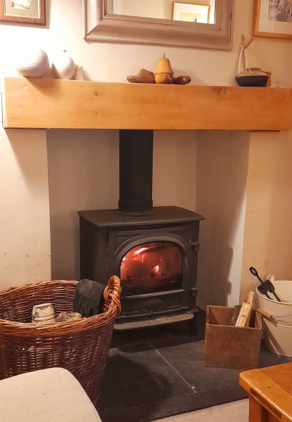 Has anybody got a fire or logburner lit at home today?