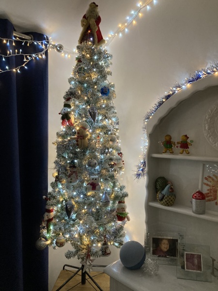 Show us your Christmas trees