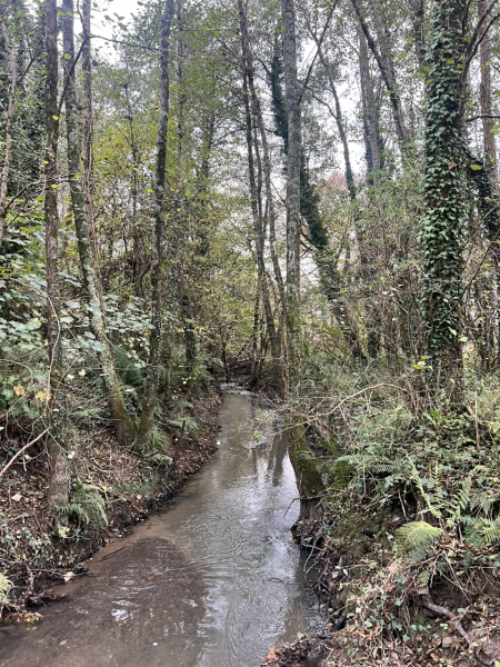 Mounjaro August starters thread 8