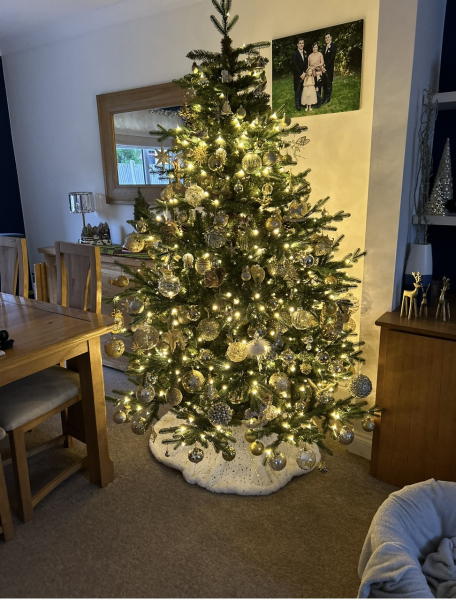 Which tree?
