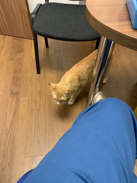 The Nigel Slater Christmas Chronicles Readalong 2024