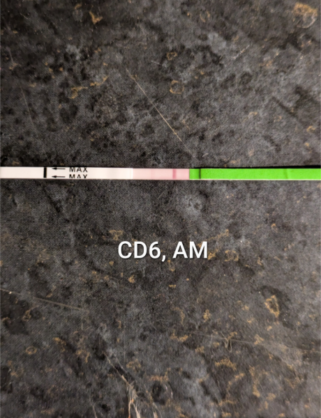 Help with confirming LH test