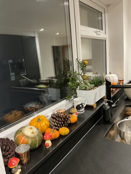 Poncetastic Christmas 2024