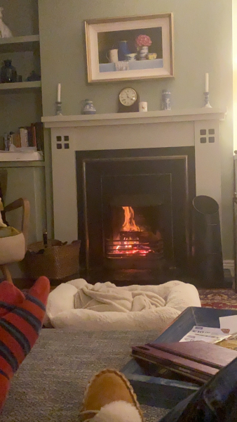 Has anybody got a fire or logburner lit at home today?
