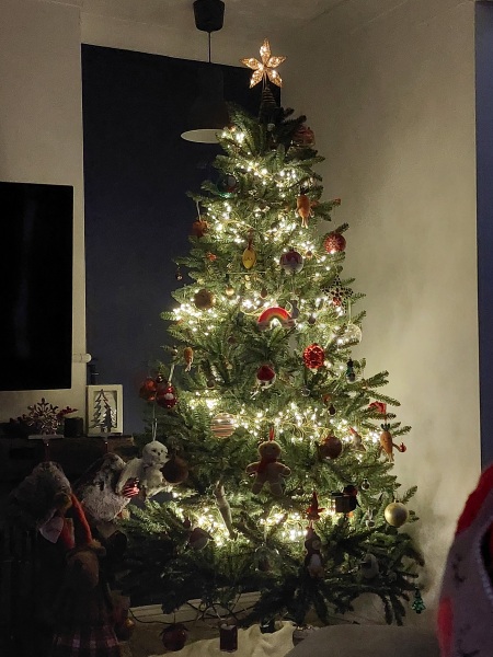 Show us your Christmas trees