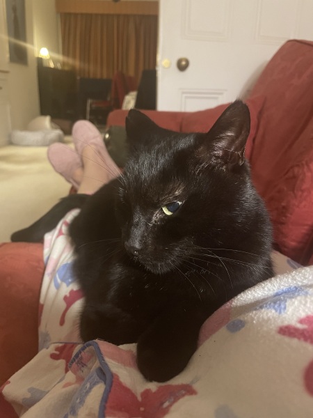 Thread 10 Starmer: First Female Chancellor delivers the Budget