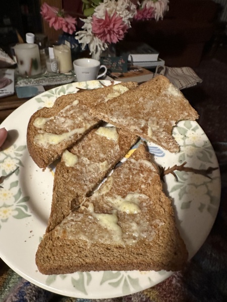 The Nigel Slater Christmas Chronicles Readalong 2024