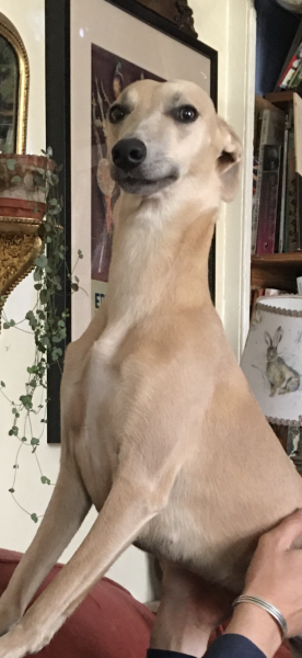 What is the worst Christmas present you have received?