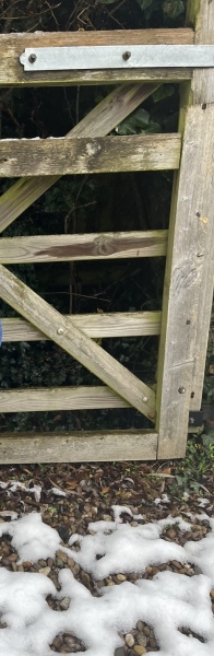 To let DS play alone in the garden