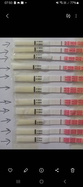 Wondfo query - different batches