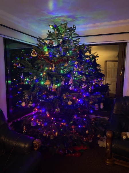 Show us your Christmas trees