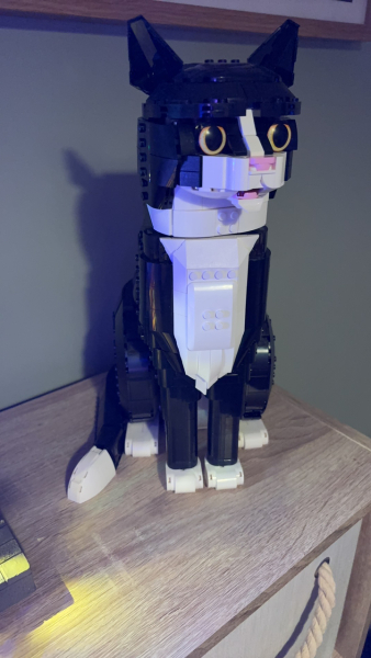 To show me your Lego collection?