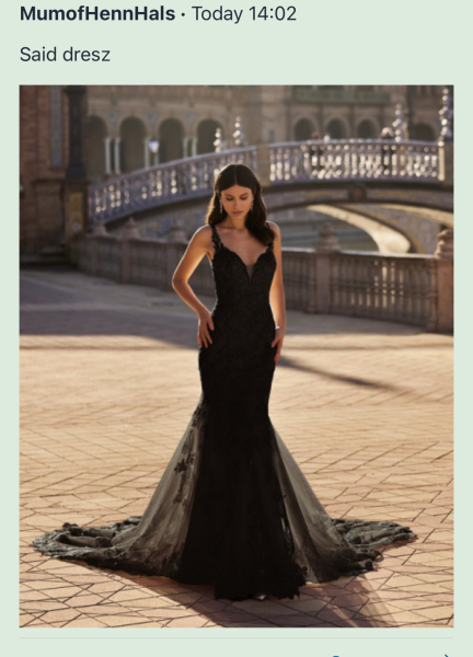 AIBU - Mother in Law's dress at my wedding.
