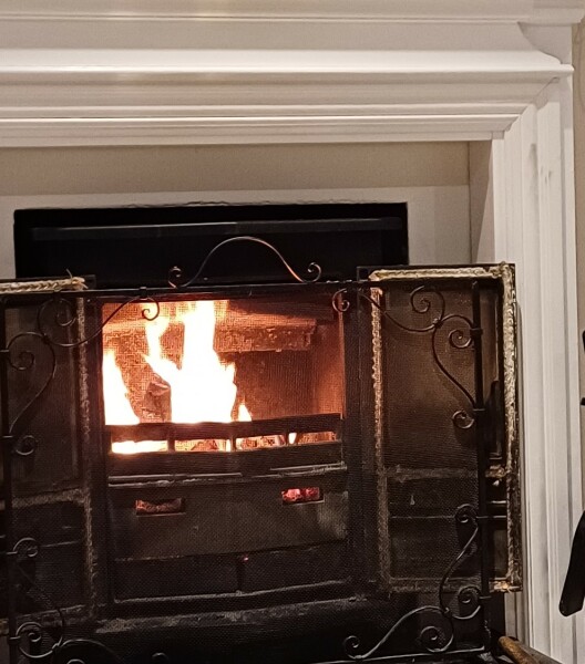 Has anybody got a fire or logburner lit at home today?