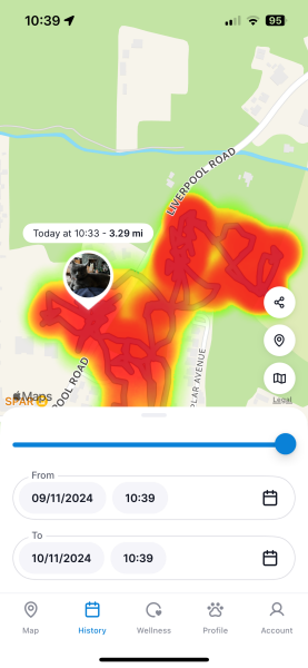 Trick or Cat Treat? The Excellent Cats do Halloween