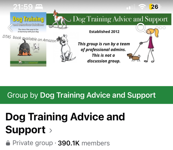 Adopted reactive dog and desperate