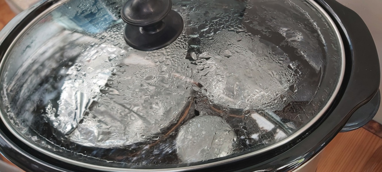 Poncetastic Christmas 2024