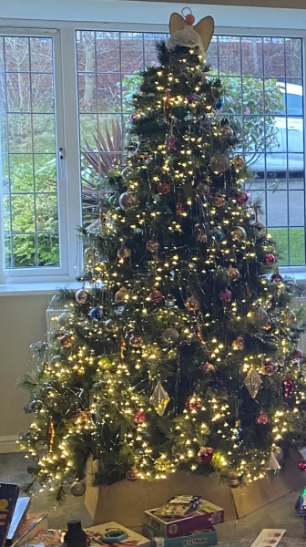 Show us your Christmas trees