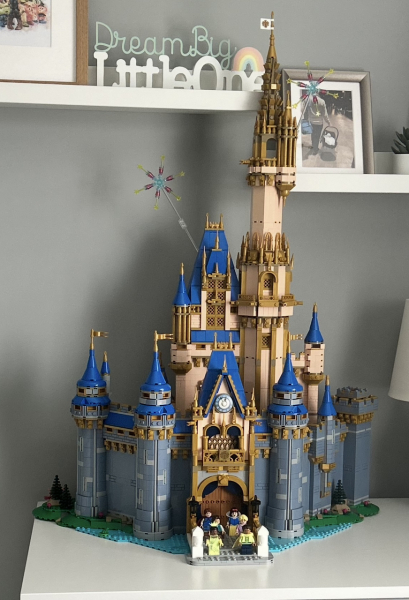 To show me your Lego collection?