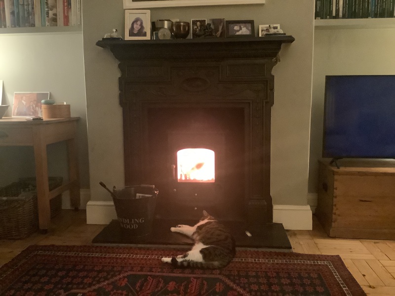 Has anybody got a fire or logburner lit at home today?