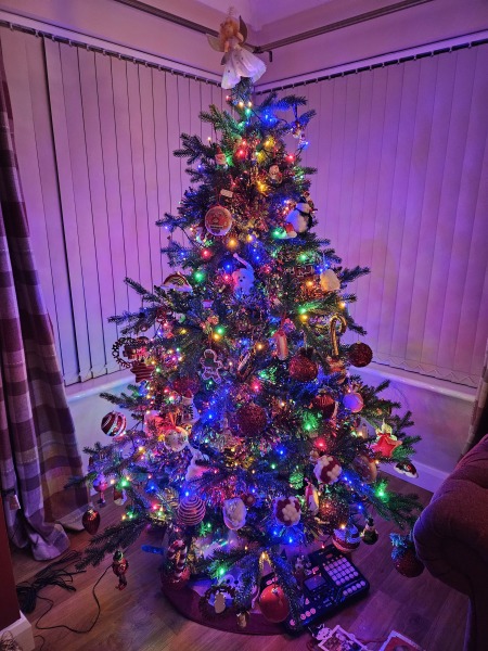 Show us your Christmas trees