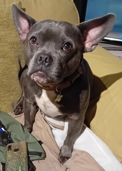 The Continuing Support Thread for Anyone Trying to Lead an Alcohol-Free Life Winter 2024