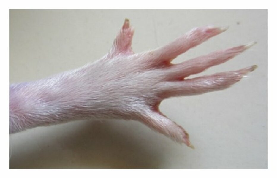 Season of mist and mellow fruitfulness...and ramping up those Christmas preparations! Countdown to Christmas 2024 (thread 3) (title edited by MNHQ @request of OP)