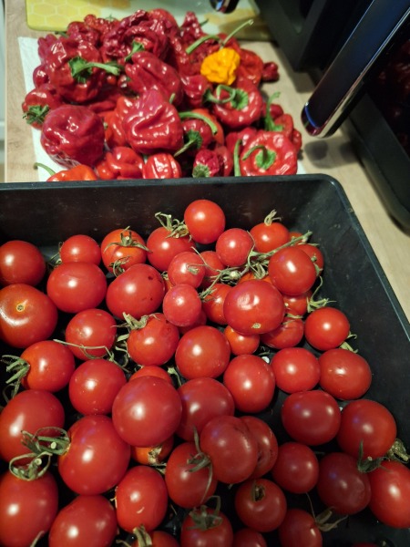 The Nigel Slater Christmas Chronicles Readalong 2024