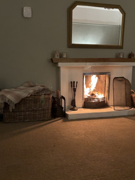 Has anybody got a fire or logburner lit at home today?