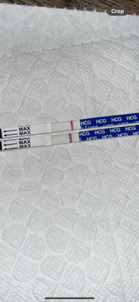 12/13dpo pregnancy test