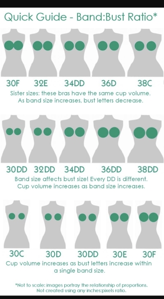How do I measure my bra size at home?