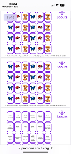 The Scouts and the non-binary butterfly 🦋