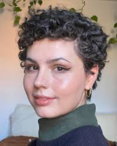 Hot brush or air styler for short hair