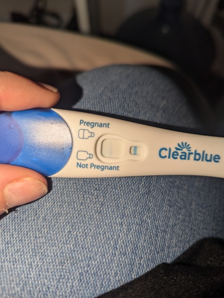 Clear blue test. Evap line or positive