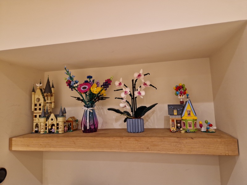 To show me your Lego collection?