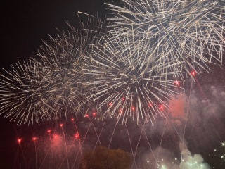 The Great Cancer Recovery part 3